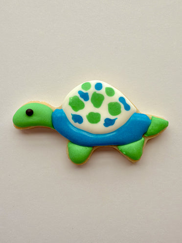 Baby Turtle